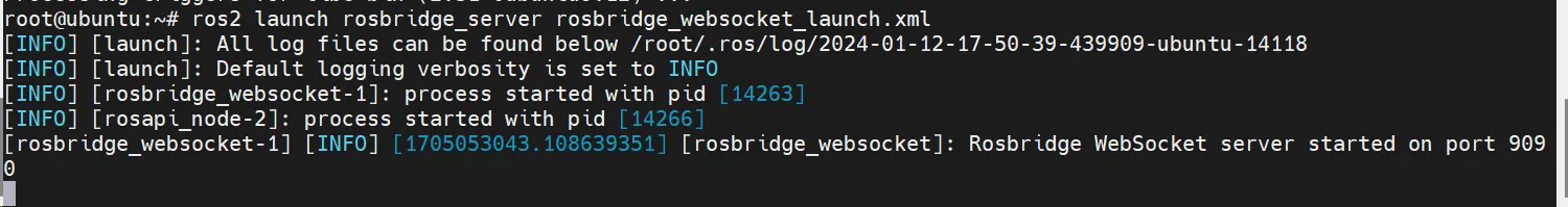 rosbridge WebSocket service startup log
